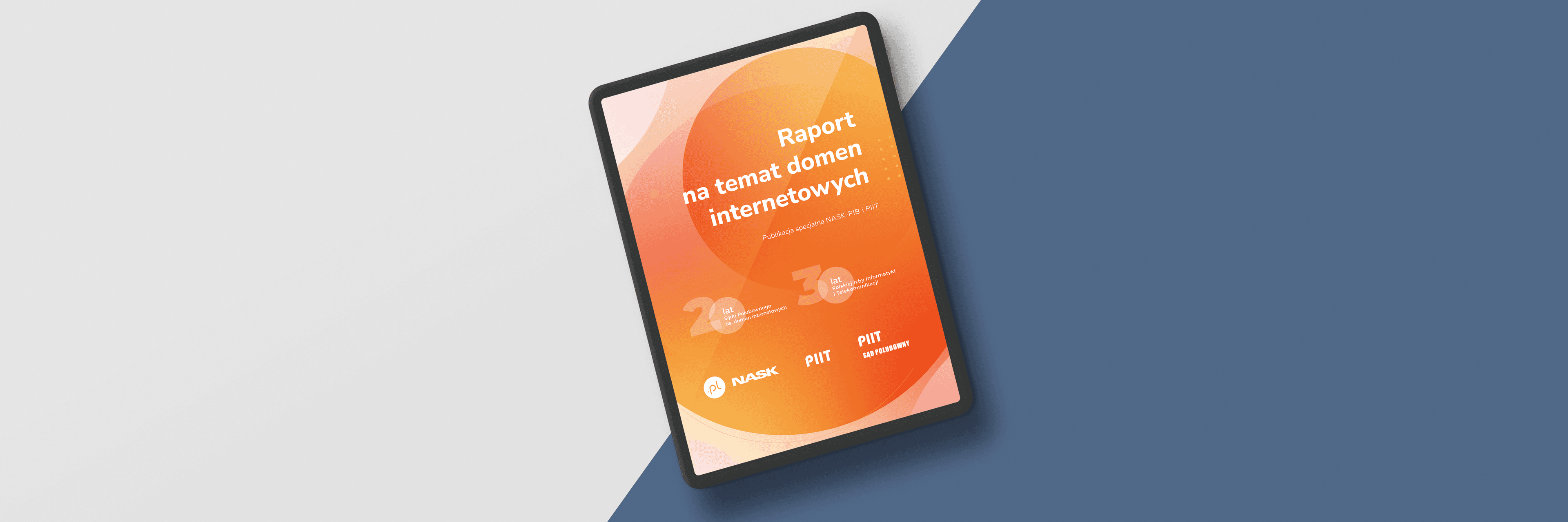 Raport na temat domen internetowych