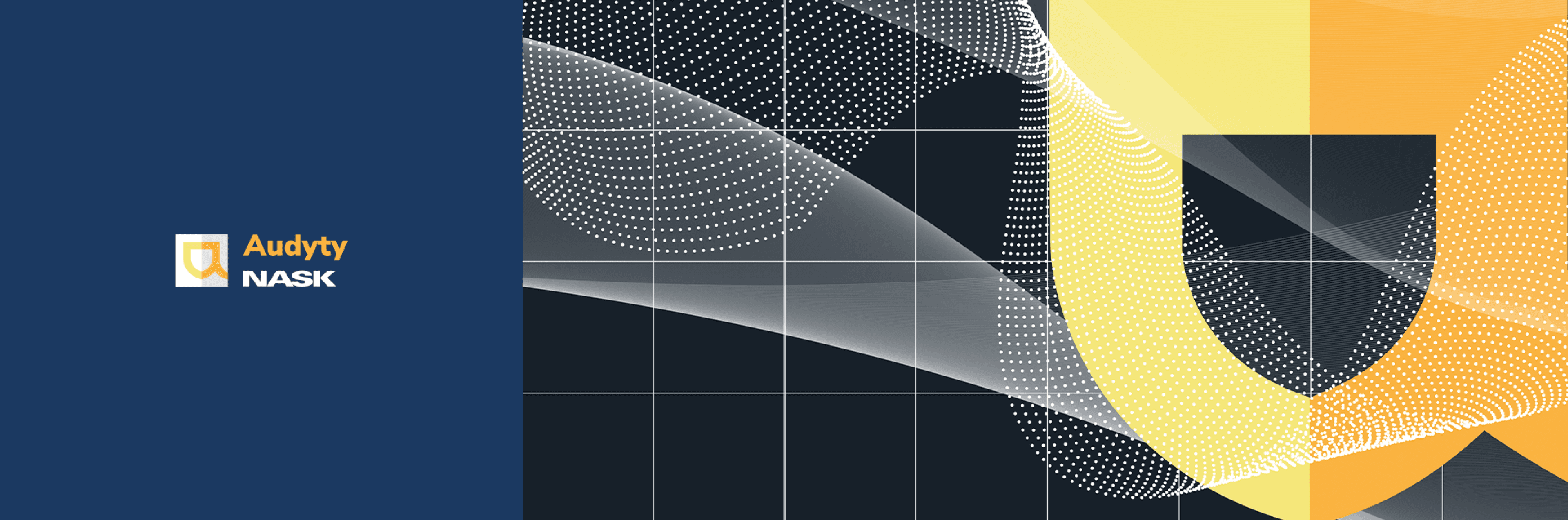 Audyty NASK